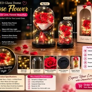 Elegant LED rose flower in a transparent glass dome with warm fairy lights, perfect as a romantic gift and home decoration.